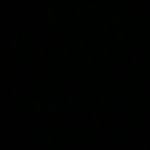 Meet your Posher, Mia